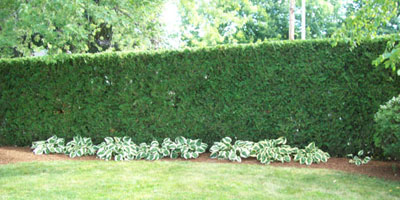 landscape services waterville maine